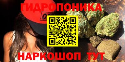 ешки Сланцы