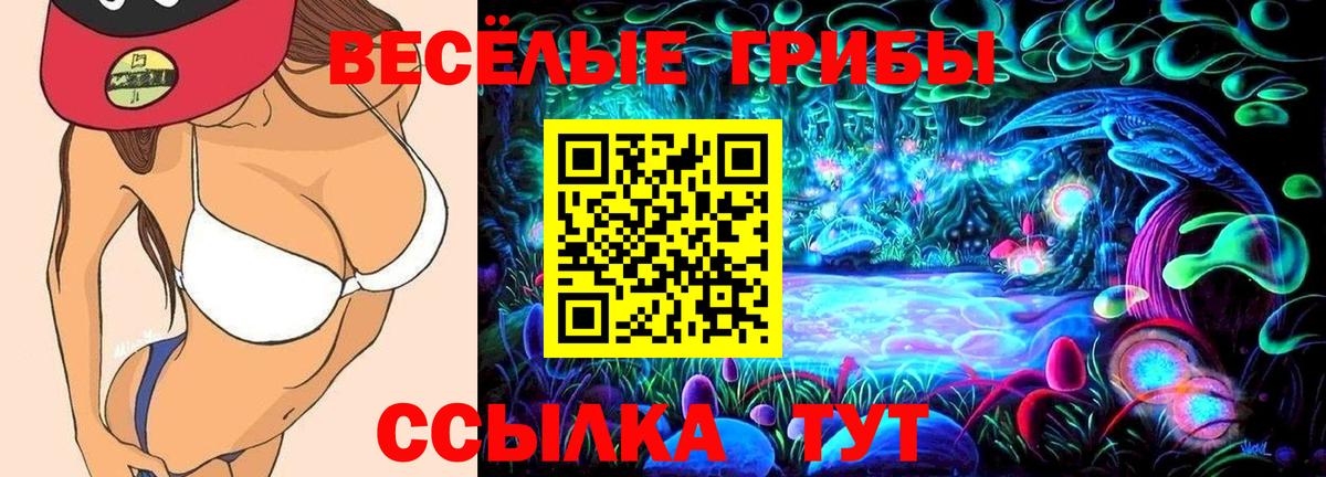 Галлюциногенные грибы ЛСД  Псилоцибиновые грибы мицелий  Нововоронеж  Вход с VPN 